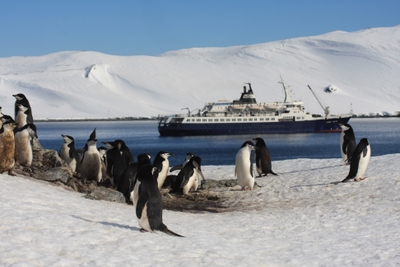 Antarktida: Cesta do modrobílého ráje